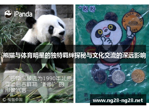 熊猫与体育明星的独特羁绊探秘与文化交流的深远影响
